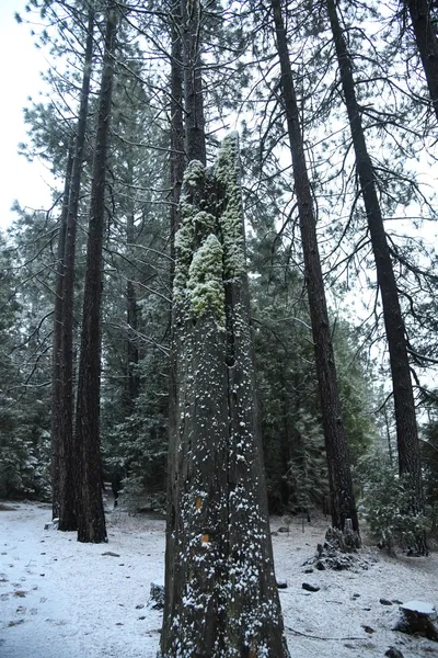 DSC_5832 (Large).JPG